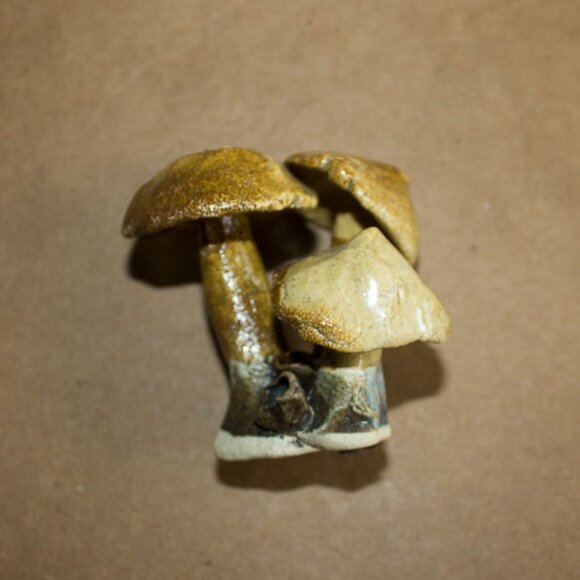 Mushrooms - Picture 1 of 3